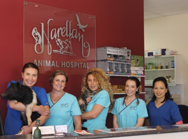 Narellan Animal Hospital - Team