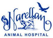 Narellan Animal Hospital Logo