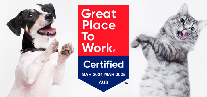 Narellan Animal Hospital Certified as a Great Place to Work